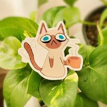 Load image into Gallery viewer, Funny and Cute Anxious Cat Stickers (1 PC)
